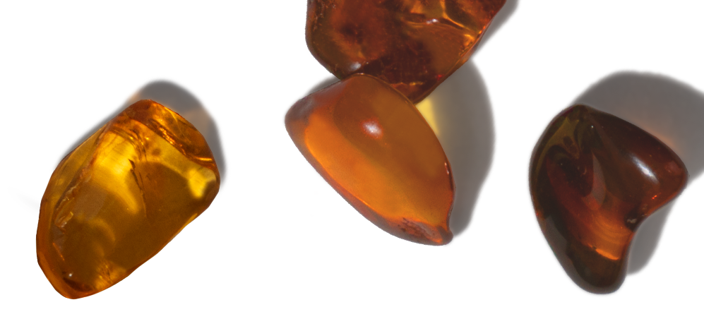 amber Napomena